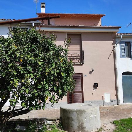 Appartamento Il Limone 피사 외부 사진